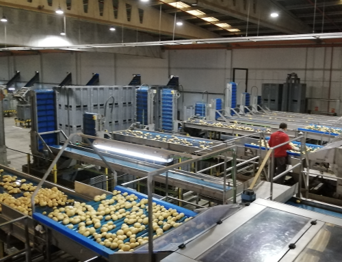 dnota, analyzes the presence of SARS-CoV-2 in the food sector, with the control of the virus in the facilities of one of the main wholesalers of potatoes and onions, the company G.V. El Zamorano.