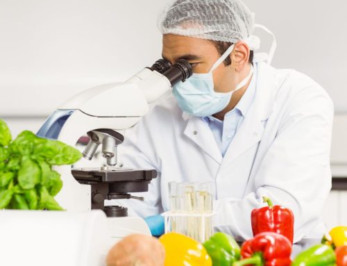 dnota acquires Laboratorios ACCA’s business in Almeria and enters the food sector.