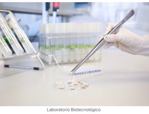 dnota adquiere Microbial, laboratorio biotecnológico especializado en sistemas de análisis microbiológicos moleculares.
